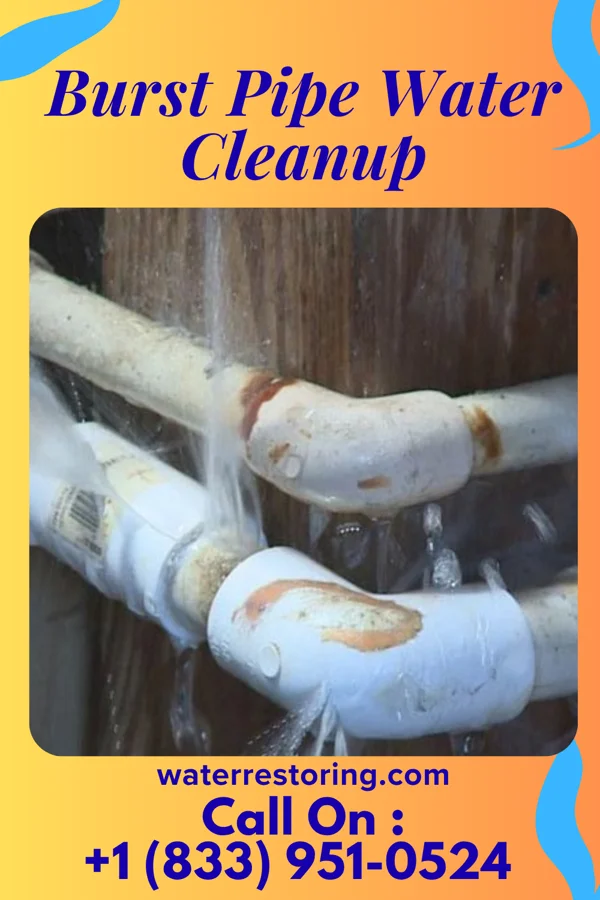 Burst Pipe Water Cleanup in Warner, SD