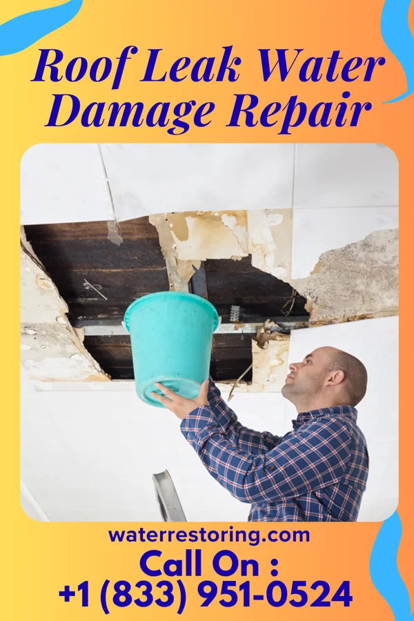 Roof Leak Water Damage Repair in Warner, SD